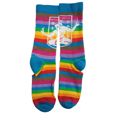 DCFC Socks- Pride