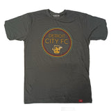 DCFC Sportiqe Radiate T-Shirt- Heather Black