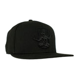DCFC Hat- FanInk Black/Black Snapback