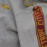 DCFC Full Zip Tape Men's Hoodie- Grey